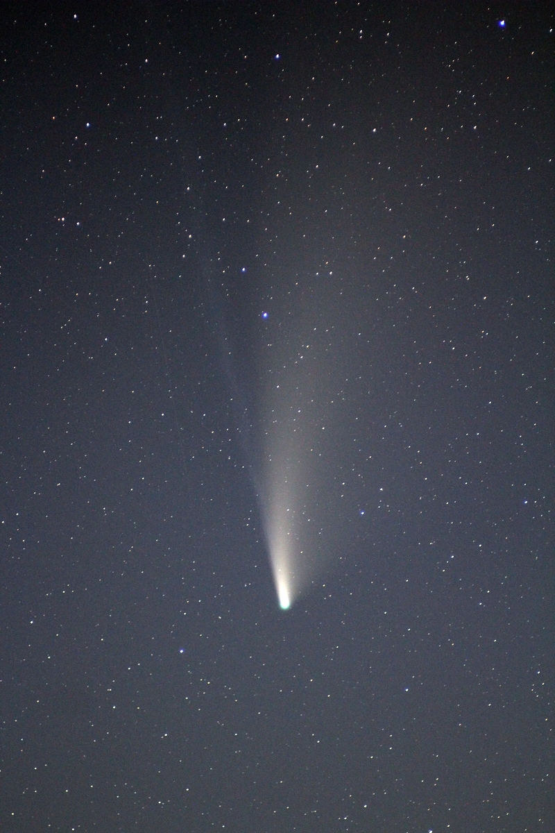 Comet C/2020F3 (NEOWISE)